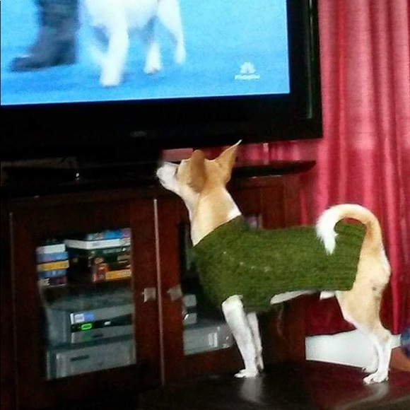 Poshmark Ambassador: Caro and #1 employee: Kitsu - Picture 7 of 9